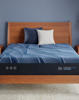 iSeries NXG - 13.5" Hybrid Firm Mattress 3500