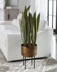 Fasita - Brass Planter (Set of 2) - Green