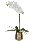 Cami - Orchid With Brass Pot - White