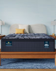 Perfect Sleeper X - 14.25" Lexton Hybrid Medium Pillow Top Mattress
