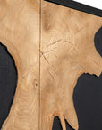 Andrei - Teak Root 2 Door Cabinet - Black / Woodtone