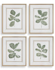 Fiddle Head - Leaf Botanical Prints (Set of 4) - Gold / Green / White