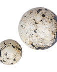 Nouveau - Indoor-Outdoor Spheres (Set of 2) - Black / White