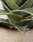 Seaside Succulents Set of 2 - Silver