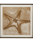 Neutral Starfish Framed Print - Light Brown
