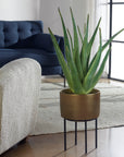 Arabia - Aloe Planter - Brown