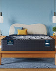Perfect Sleeper X - 14.25" Max Hybrid Medium Mattress
