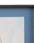 Sail Scribble I Framed Print - Blue