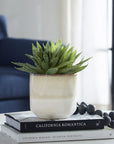 Doha - Succulent Accent - Light Gray