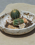 Quarried Stone - Indoor-Outdoor Bowl - Brown