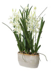 Ariana Orchid - Planter - Gray