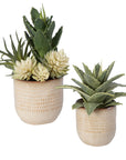 Seaside Succulents Set of 2 - Silver