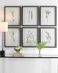 Forest - Finds Framed Prints (Set of 6)