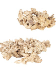 Elemental Root - Outdoor Sculptures (Set of 2) - White