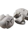 Ermanno - Teak Balls (Set of 2) - Light Gray