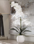 Cami - Orchid - White