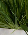 Edgewood - Greenery (Set of 2) - Silver