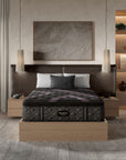 Beautyrest Black - 16.25" Series Two Plush Pillow Top Mattress