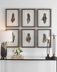 Birds Of A Feather - Framed Prints (Set of 6)