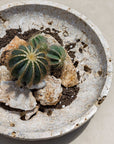 Quarried Stone - Indoor-Outdoor Bowl - Brown
