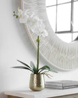 Cami - Orchid With Brass Pot - White