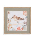 Shell Peppers IV Framed Print - White