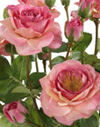 Adoration Rose - Bouquet - Pink