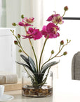 Glory Orchid - Fuchsia Orchid - Silver