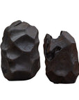 Ember Root - Teak Sculpture (Set of 2) - Black
