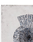 Shell II Canvas Art - Blue / Gray