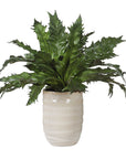 Verdure Fern - In Glazed Pot - White