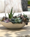 Obscura - Outdoor Bowl