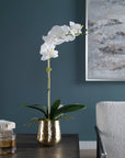 Cami - Orchid With Brass Pot - White
