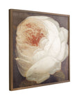 The Secret Garden - Essence Framed Print - Cream