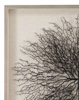 Gracee Canvas Art - Pearl Silver