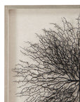 Gracee Canvas Art - Pearl Silver