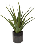 Tucson - Aloe Planter - Black