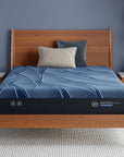 iSeries NXG - 12" Memory Foam Luxury Firm Mattress 1500