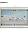 Tranquil Shorebirds On The Sand - Framed Print - Light Gray
