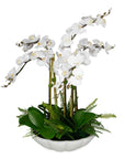 Flourish Orchid - Centerpiece - White