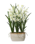 Ariana Orchid - Planter - Gray