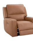 Raymond Power Recliner