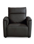Chauncey Leather Zero Gravity Power Recliner