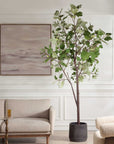 Eden - Potted Fig Tree - Green