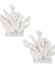 Charbel - Bookends (Set of 2) - White