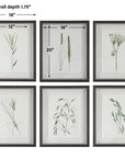 Forest - Finds Framed Prints (Set of 6)