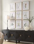 Botanical Flowers - Framed Prints (Set of 9)