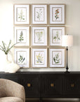 Botanical Flowers - Framed Prints (Set of 9)
