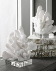 Charbel - Bookends (Set of 2) - White