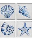 Shells Framed Canvas Set of 4 - Blue / White